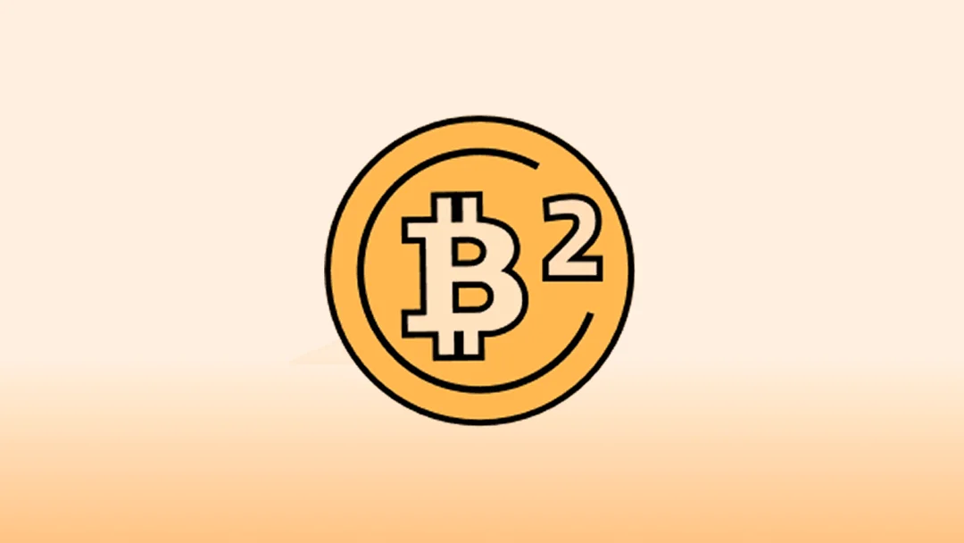 2025 年最佳 B² 钱包：顶级软件与硬件之选深度解析