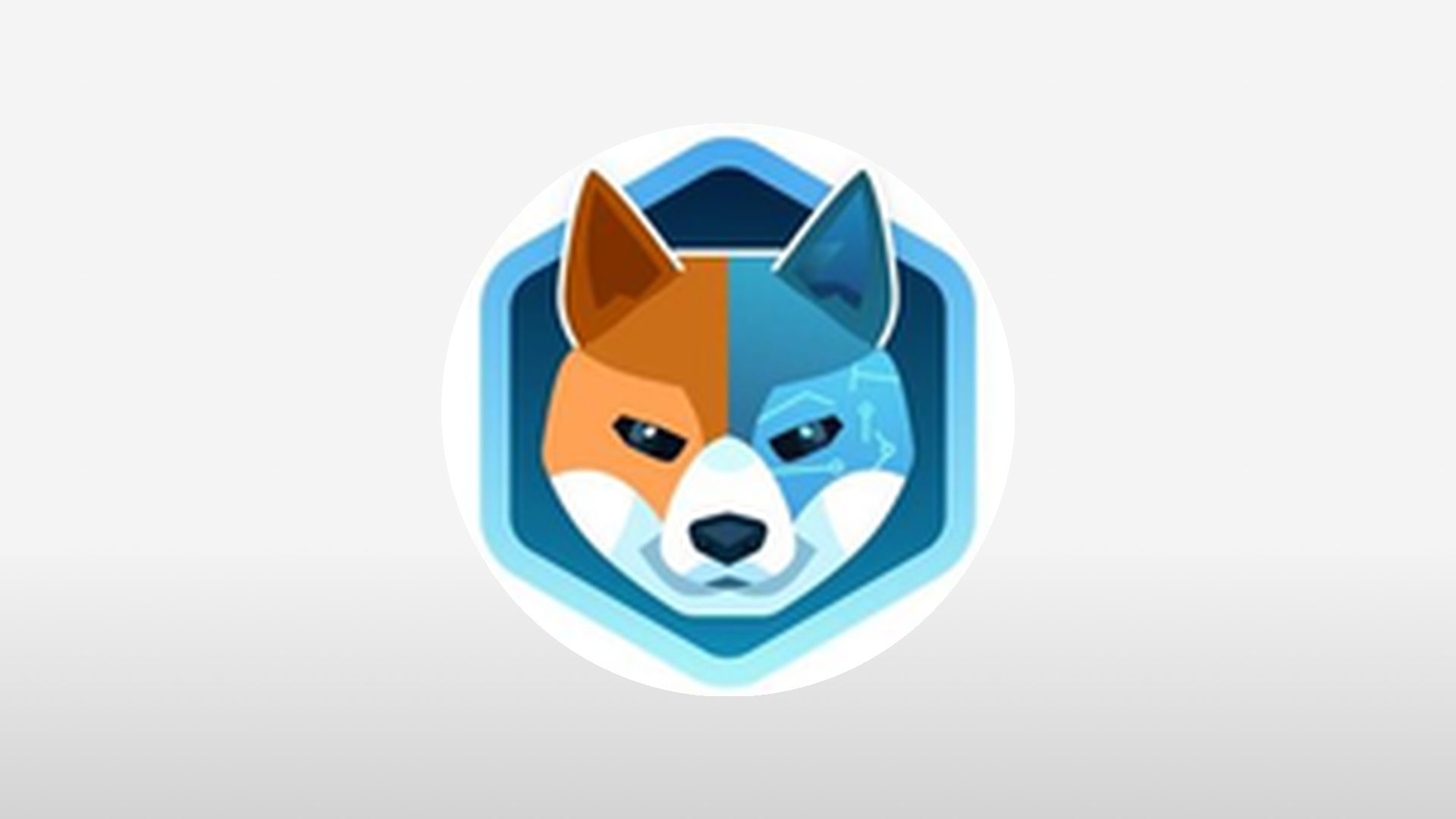 AIDOGE Recent Moves: Is There More Upside?