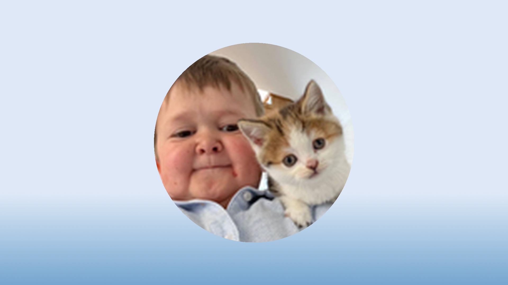 BARSIK深度报告：代币未来发展与价格展望