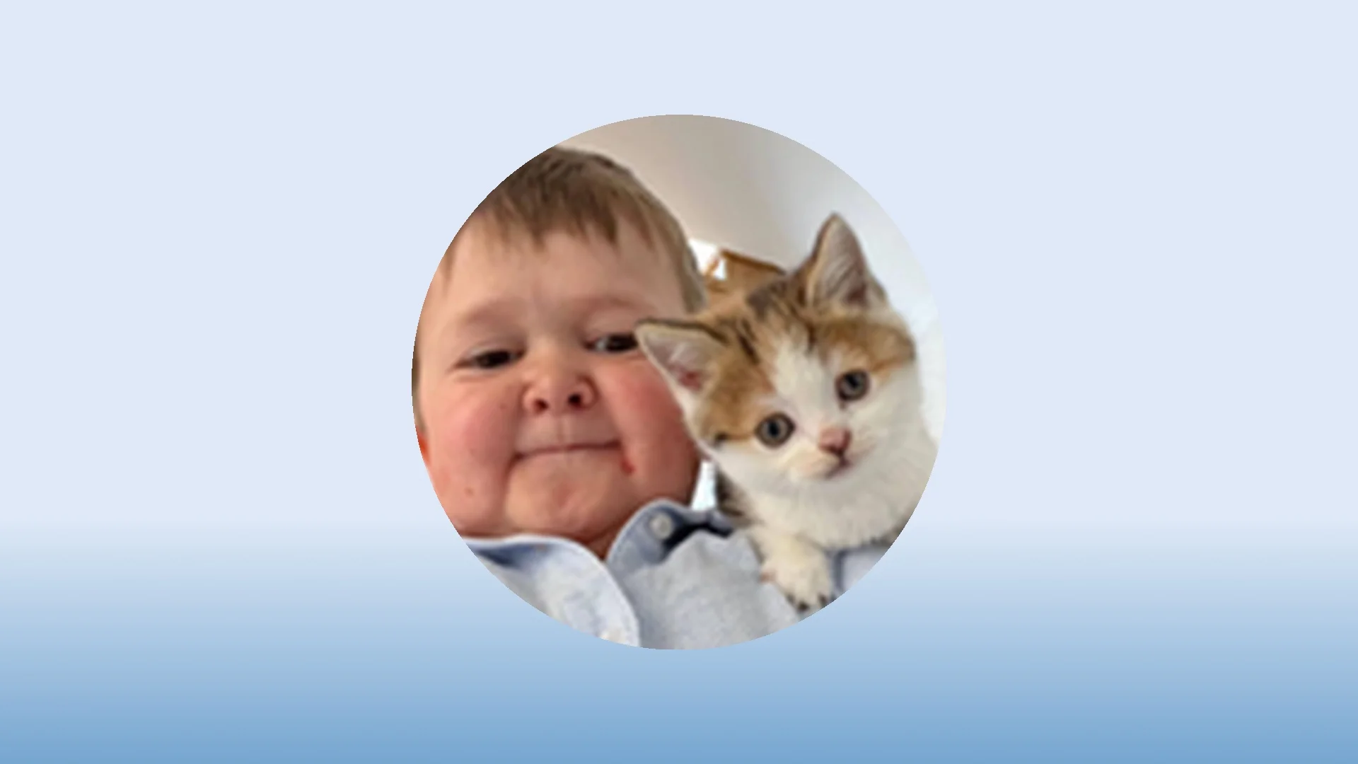 BARSIK Deep Dive Report: Token Future Development and Price Outlook