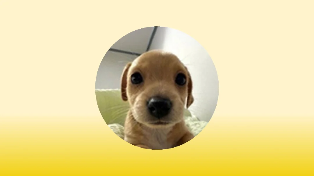 2025년 최고의 빌리(BILLY) 지갑