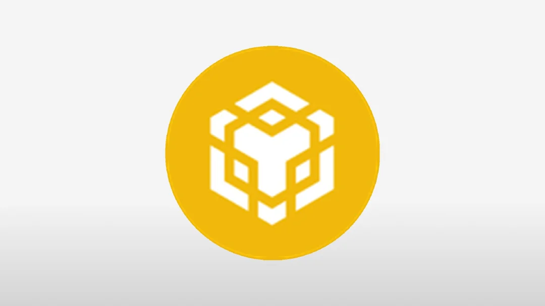 BNB 심층 분석 보고서: 토큰 개발 및 향후 전망