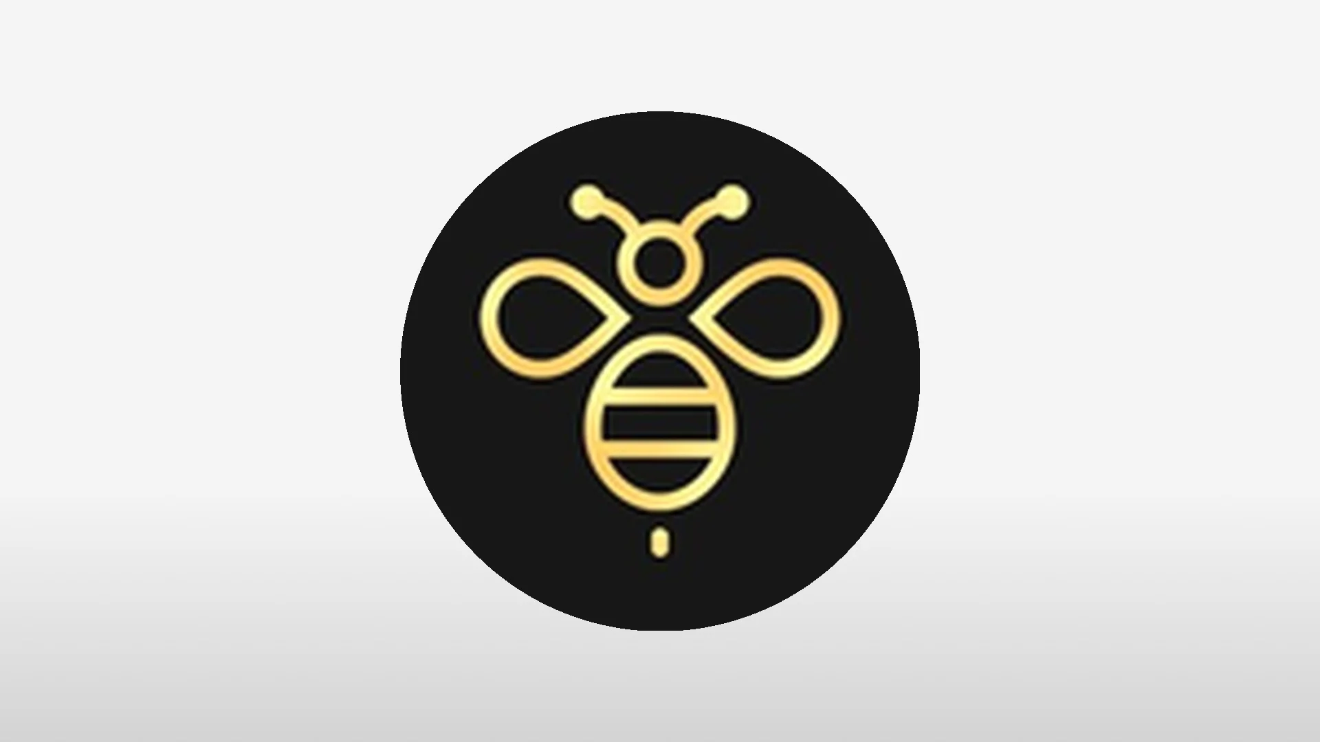 BUZZ Deep Research Report: Token Future Development and Price Outlook