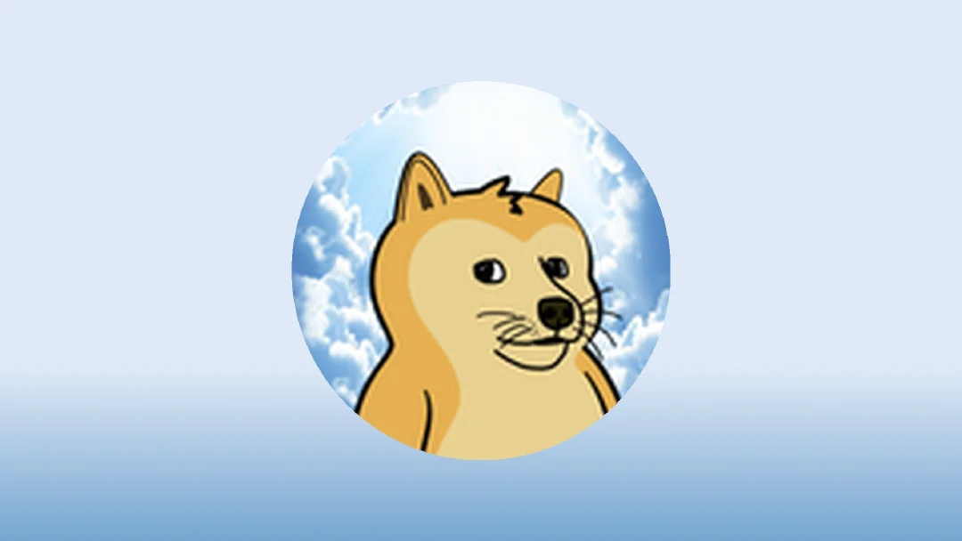 최고의 DOPE 지갑 2025