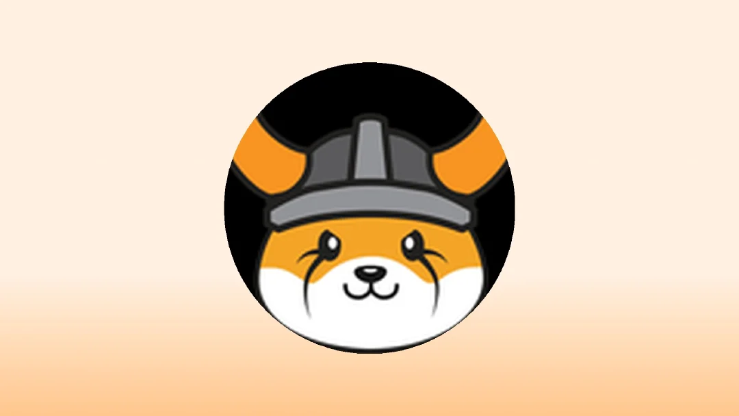 As Melhores Carteiras FLOKI em 2025