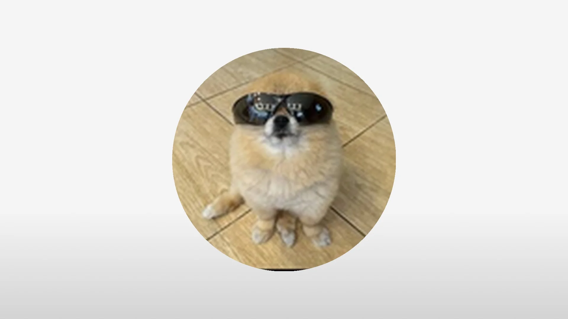 KORI 심층 연구 보고서: 토큰의 미래 개발 및 가격 전망