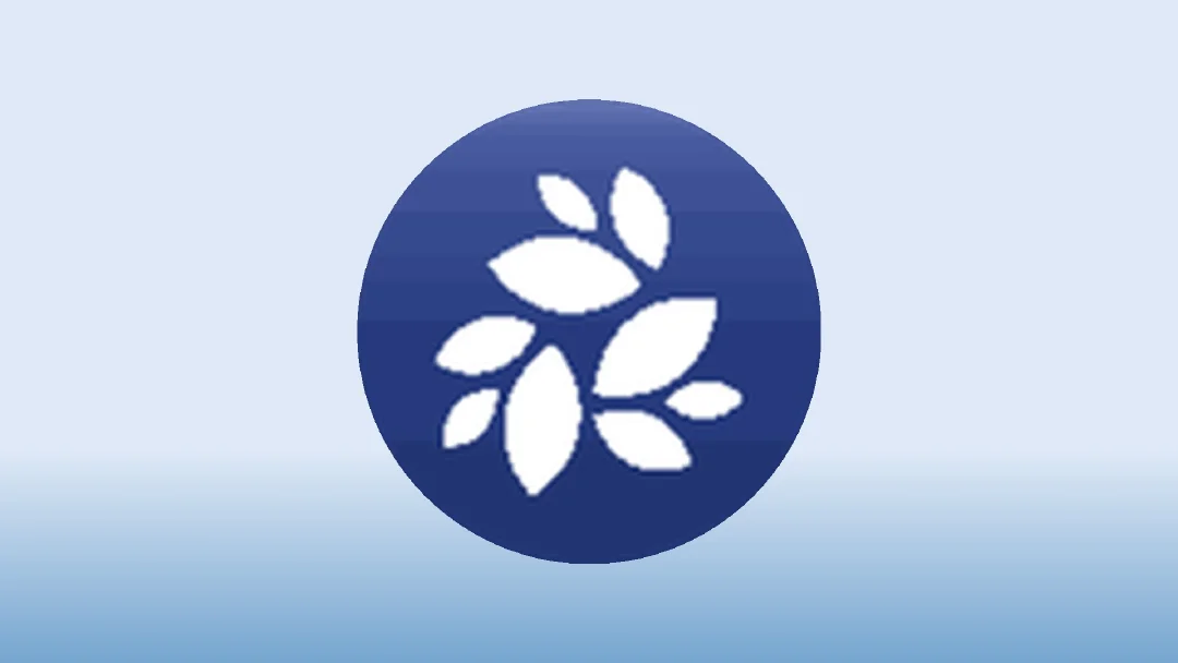 Inmersión Profunda en NKN: Fundamentos del Token, Progreso de la Red y Perspectivas