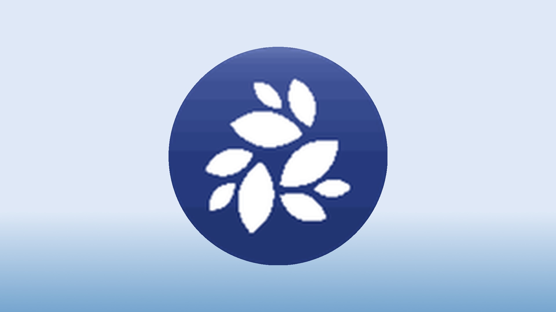 Best NKN Wallets in 2025