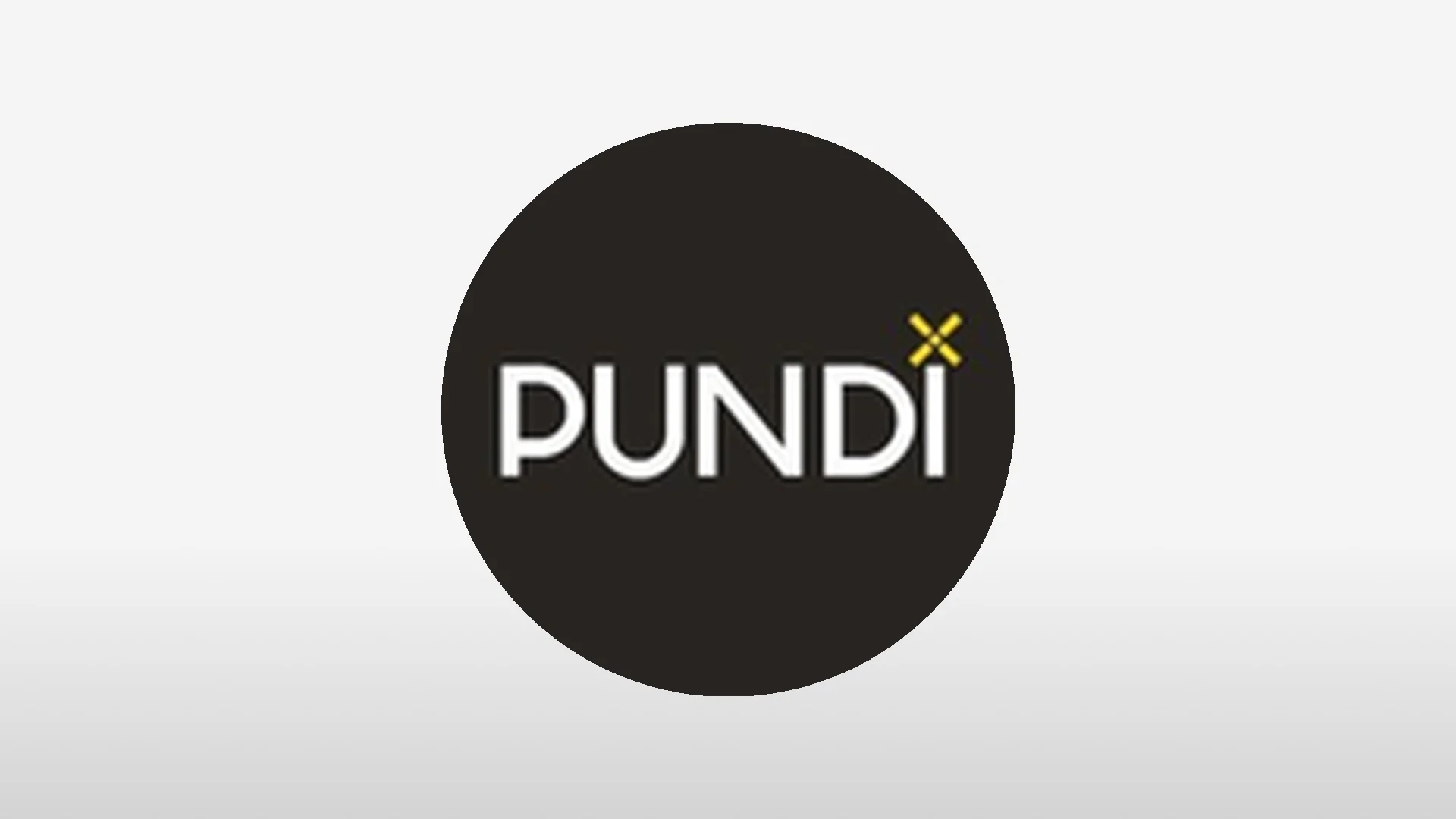 PUNDIX 심층 분석: 토큰 펀더멘털, 최근 동향 및 미래 전망
