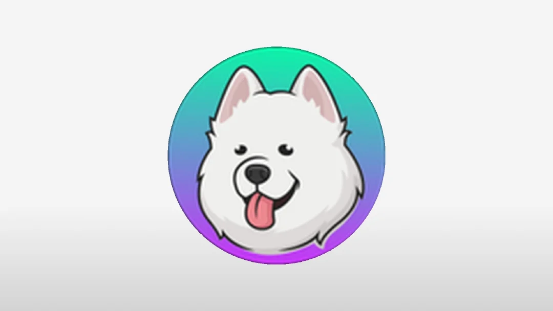 Best SAMO Wallets in 2025