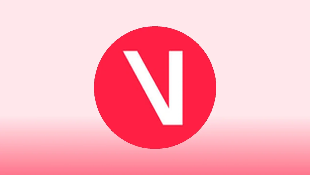 Best VIB Wallets in 2025