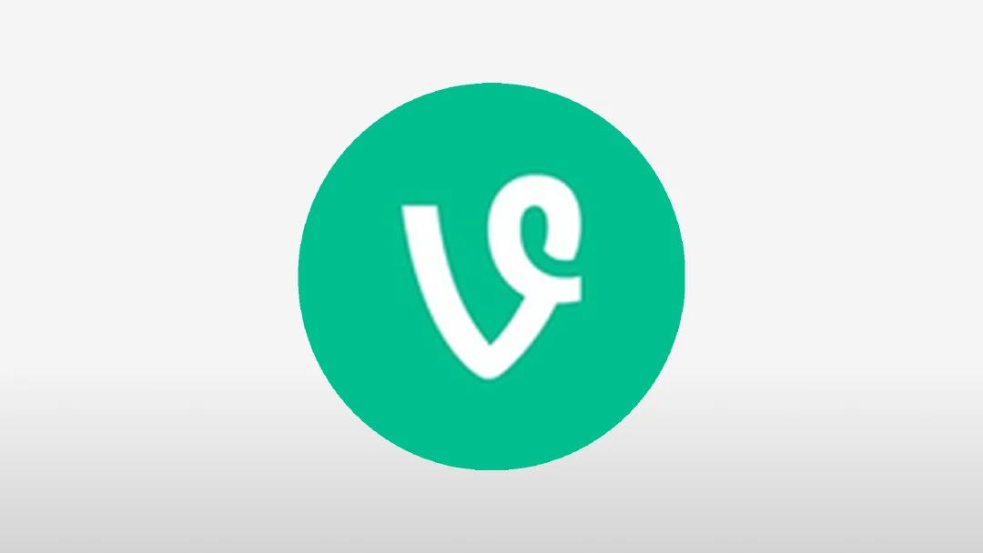 Best VINE Wallets in 2025