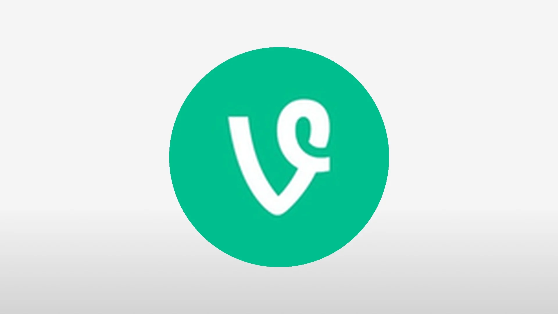 Informe de Investigación Profunda de VINE: Desarrollo y Perspectivas Futuras del Token