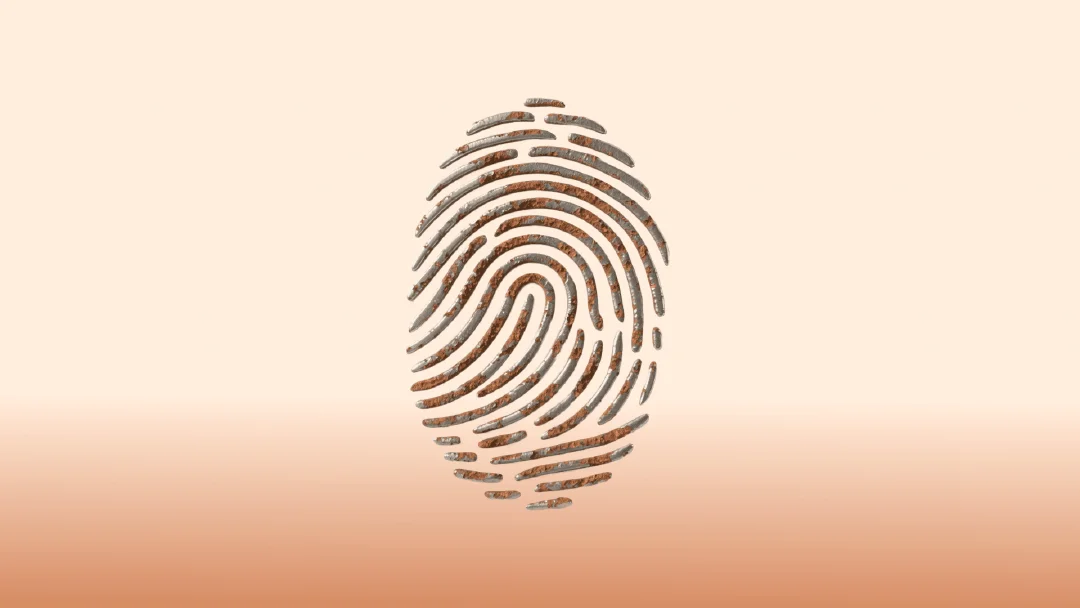 Sybil Hunters Beware: Airdrop Farming Tool Exploit Drains $5M