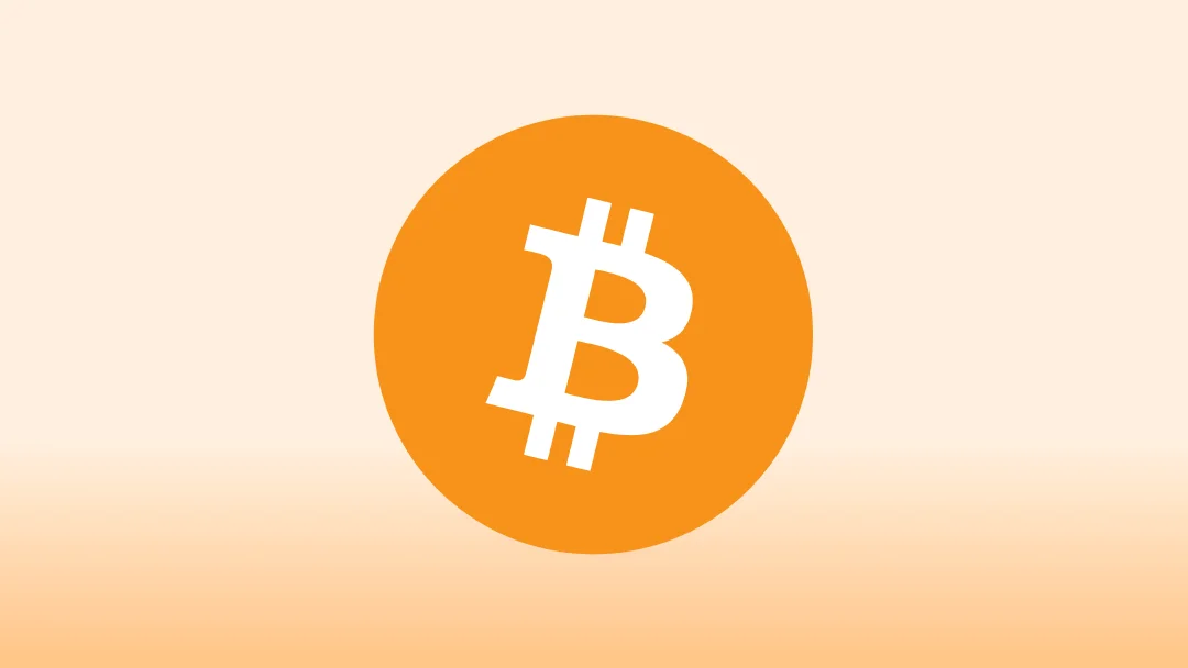 Best BTC Wallets in 2025: Comparing Top Software & Hardware Solutions