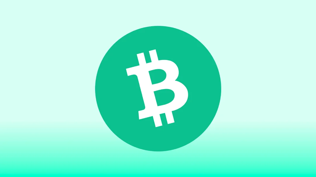 Best BCH Wallets in 2025: Ultimate Guide & OneKey Recommendation