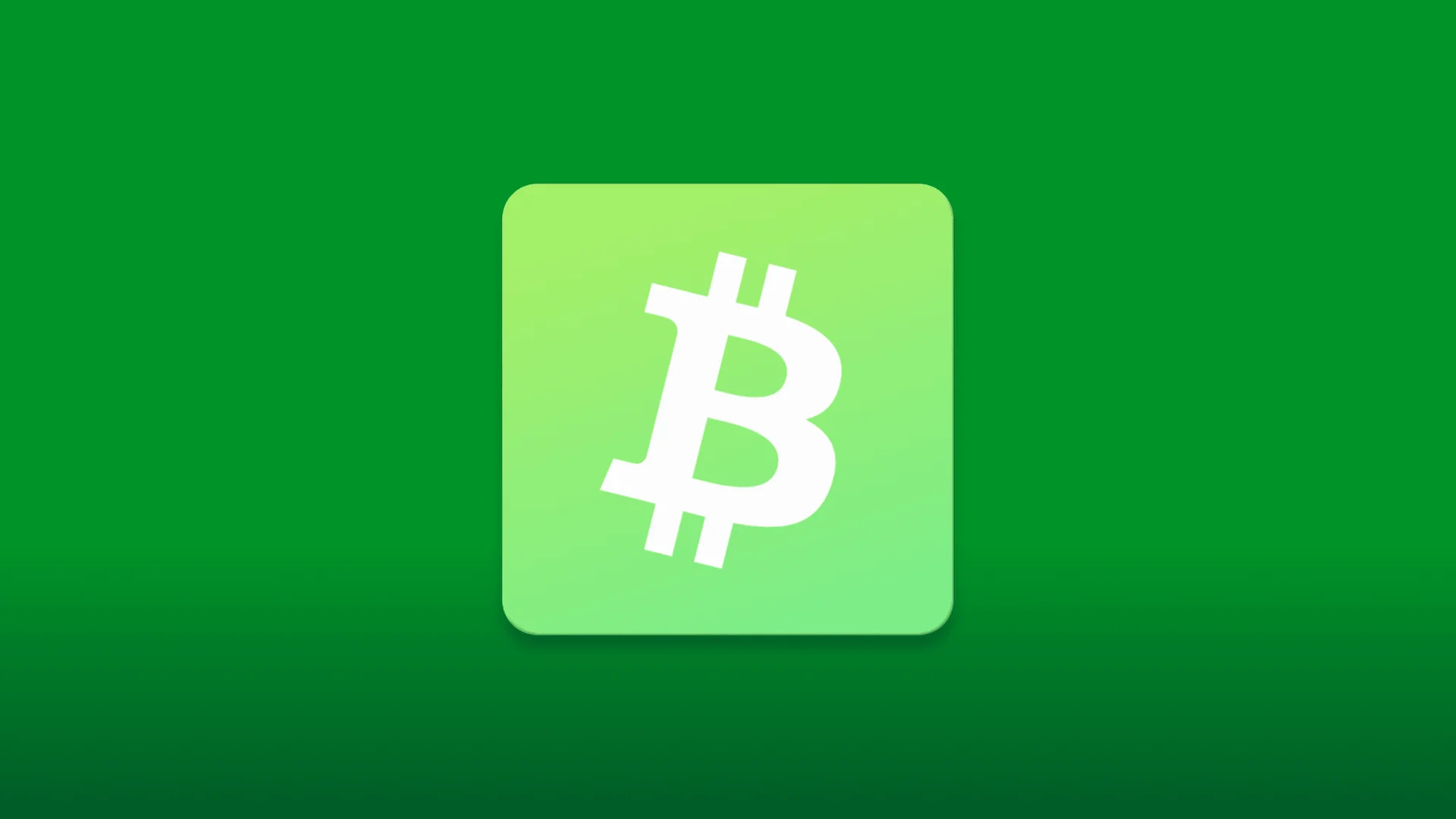Best BTC Testnet Wallets in 2025: The Definitive Guide
