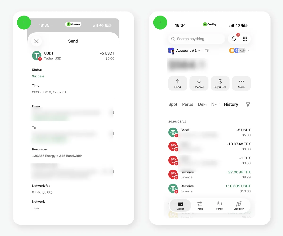 OneKey English TRON transaction history and successful transaction details