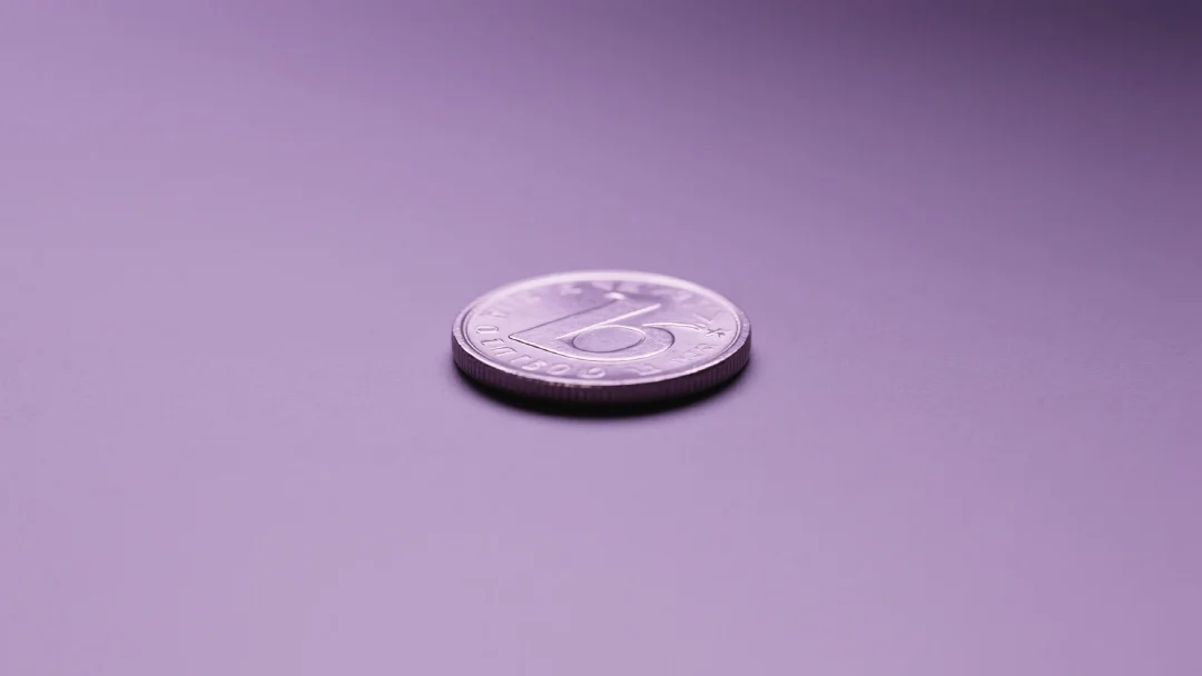 ¿Qué es 1000FLOKI? Una guía para principiantes sobre el token meme vikingo