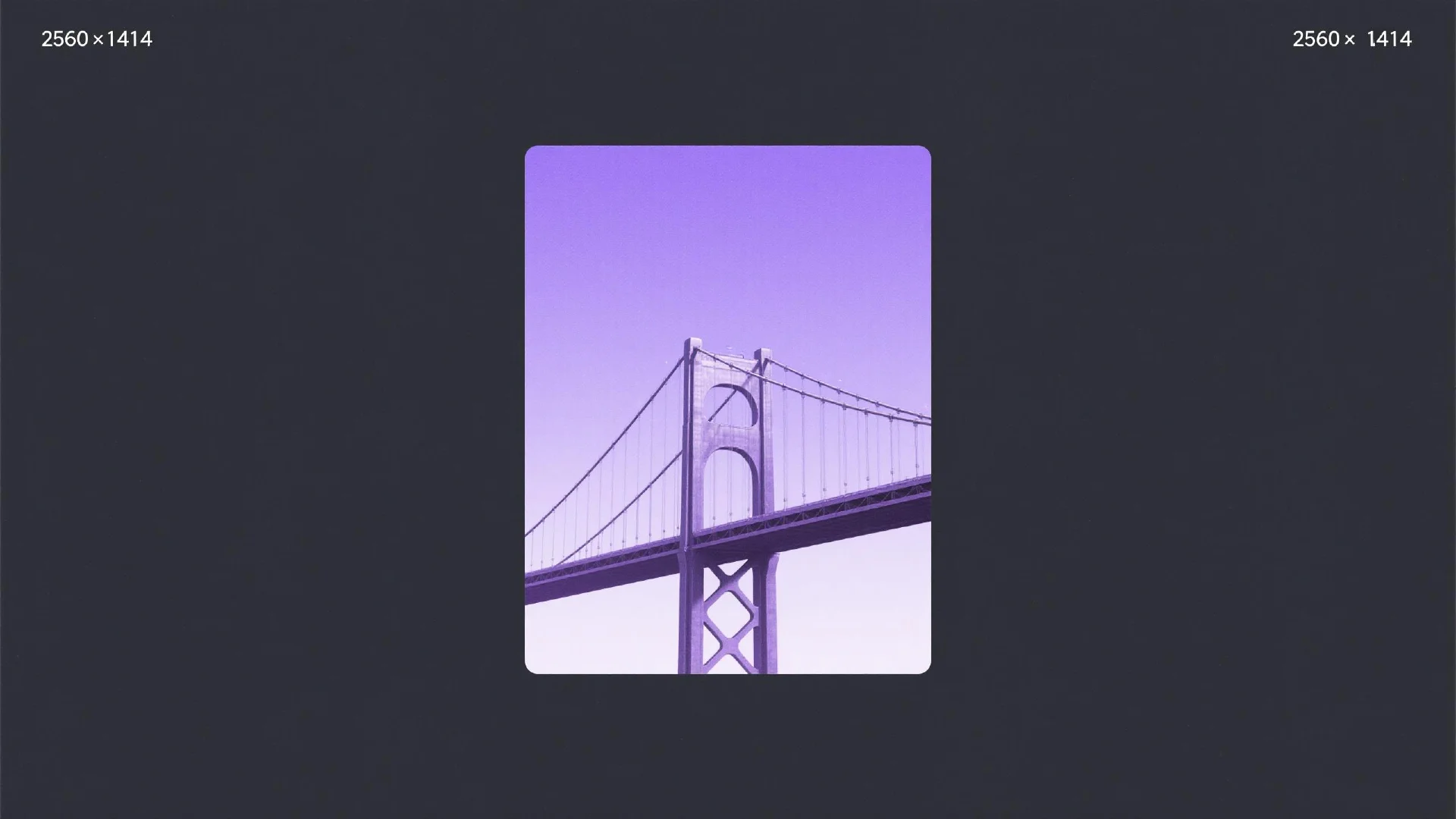 Coin98 (C98) 是什么?连接多链 DeFi 用户