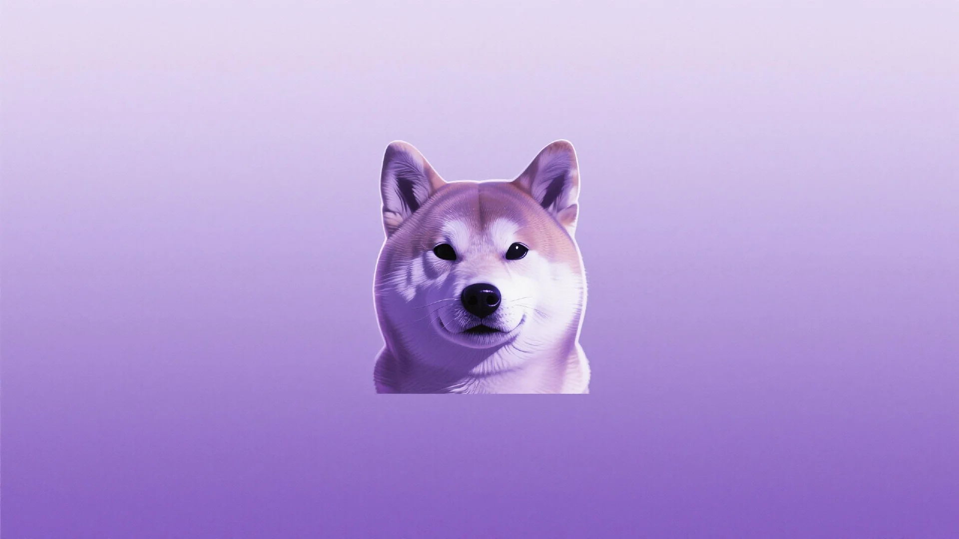 What Is Cheems Token? The Classic Meme Coin With Lasting Power