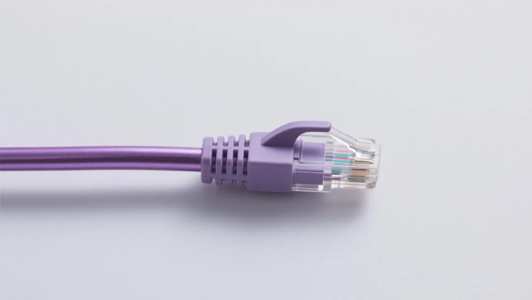CDLトークンが次の100倍アルファになり得る理由