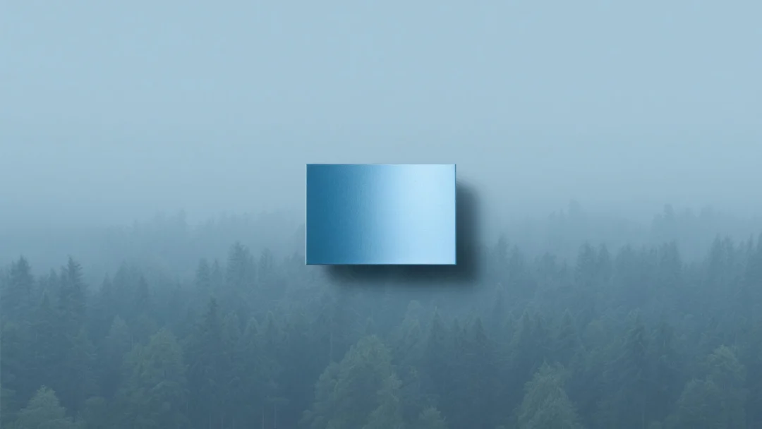 FOREST 토큰 심층 분석: 숨겨진 알파 보석인가?