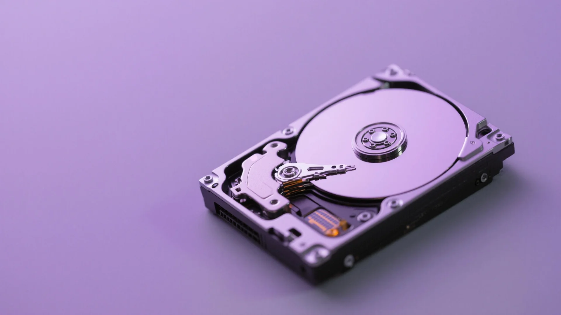 알파를 찾아서: OVL 토큰 심층 분석