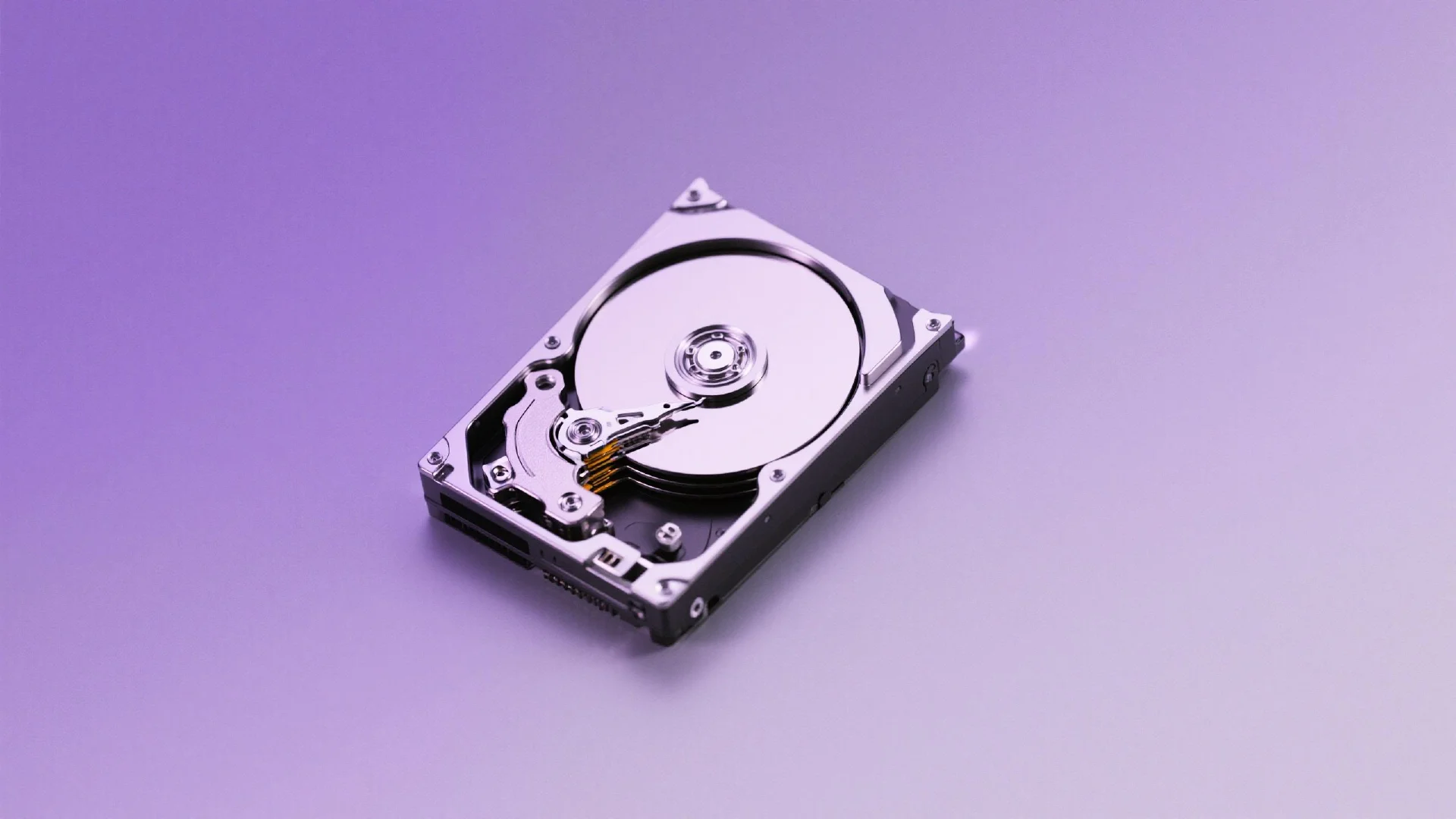 WAI 토큰, 암호화폐 시장의 다음 빅 알파가 될 수 있을까?