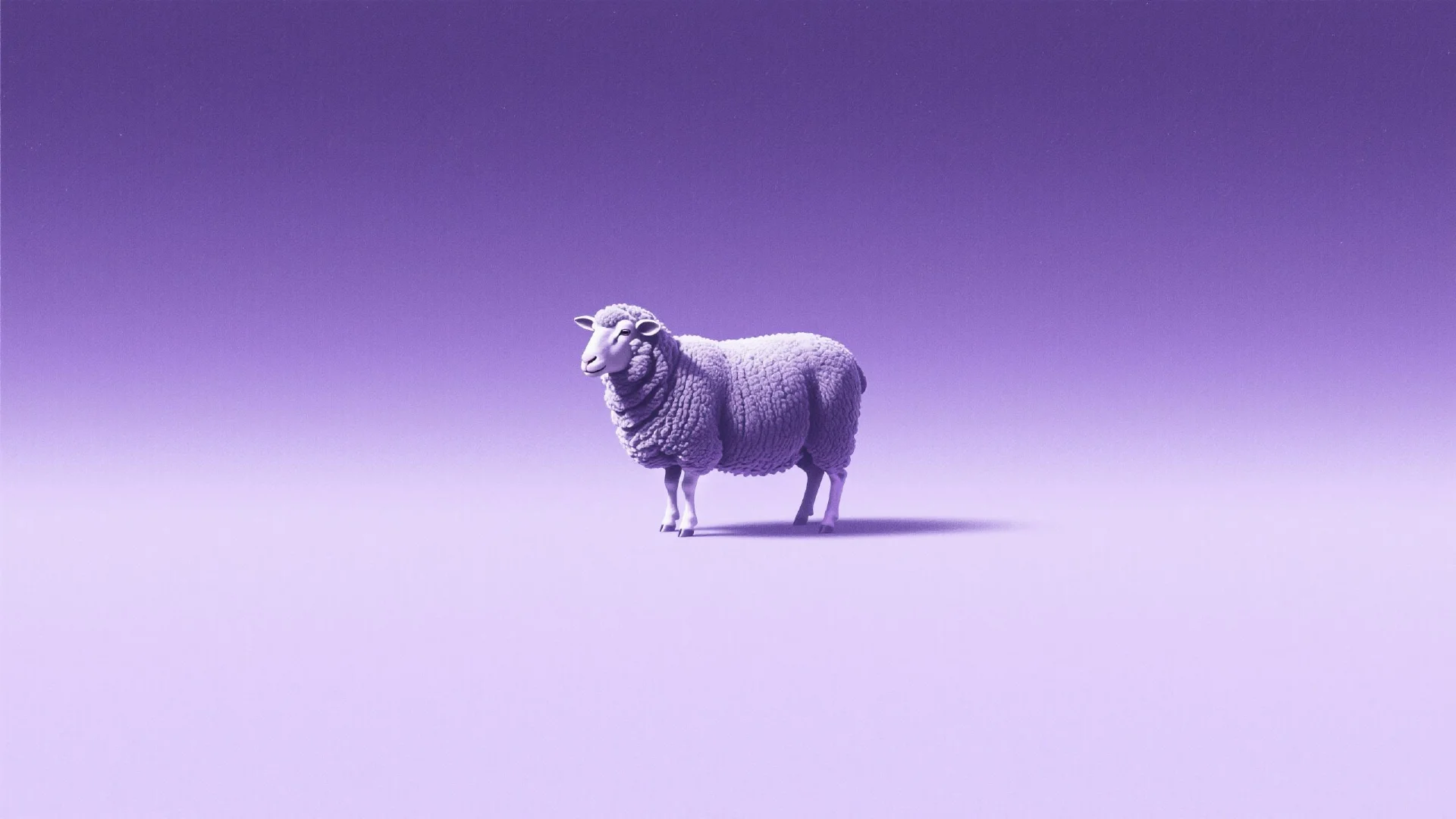 CULT 토큰 테제: 100배 알파를 향한 길