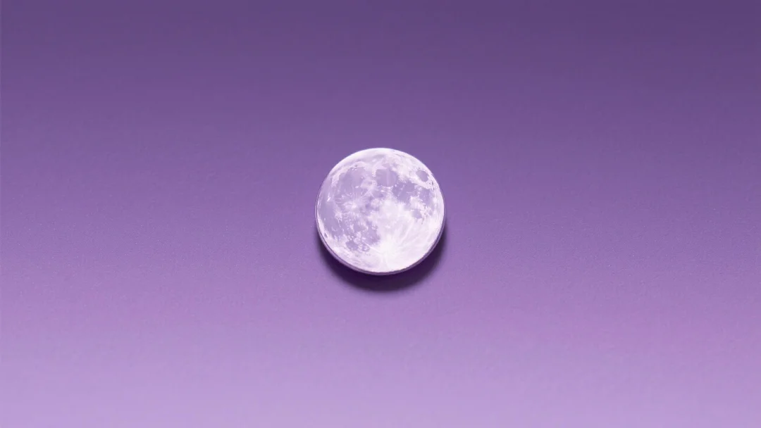 DARK 토큰, 다음 대형 알파가 될 수 있을까요?