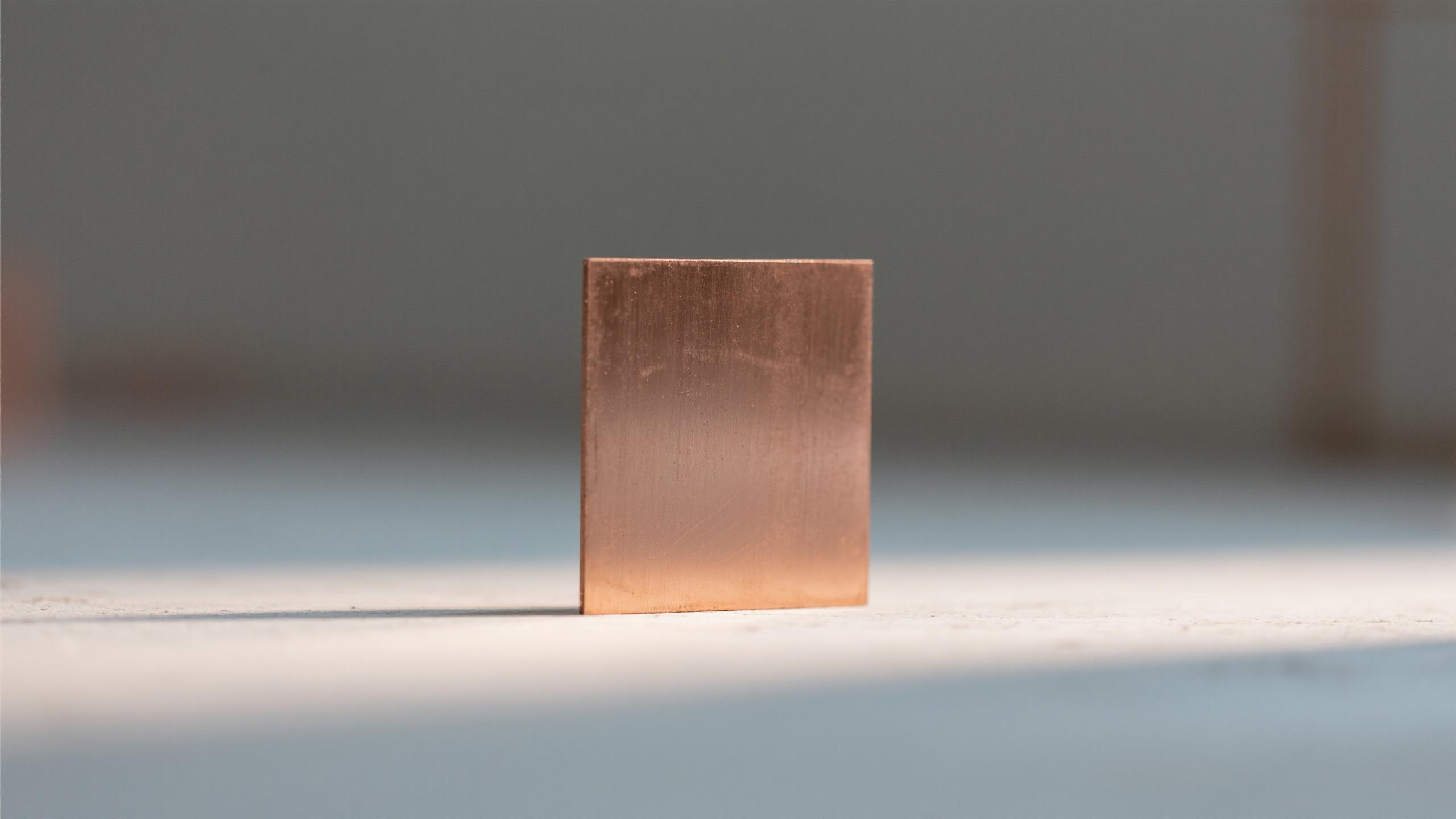 BUBB 토큰 논지: 100x 알파를 향한 길