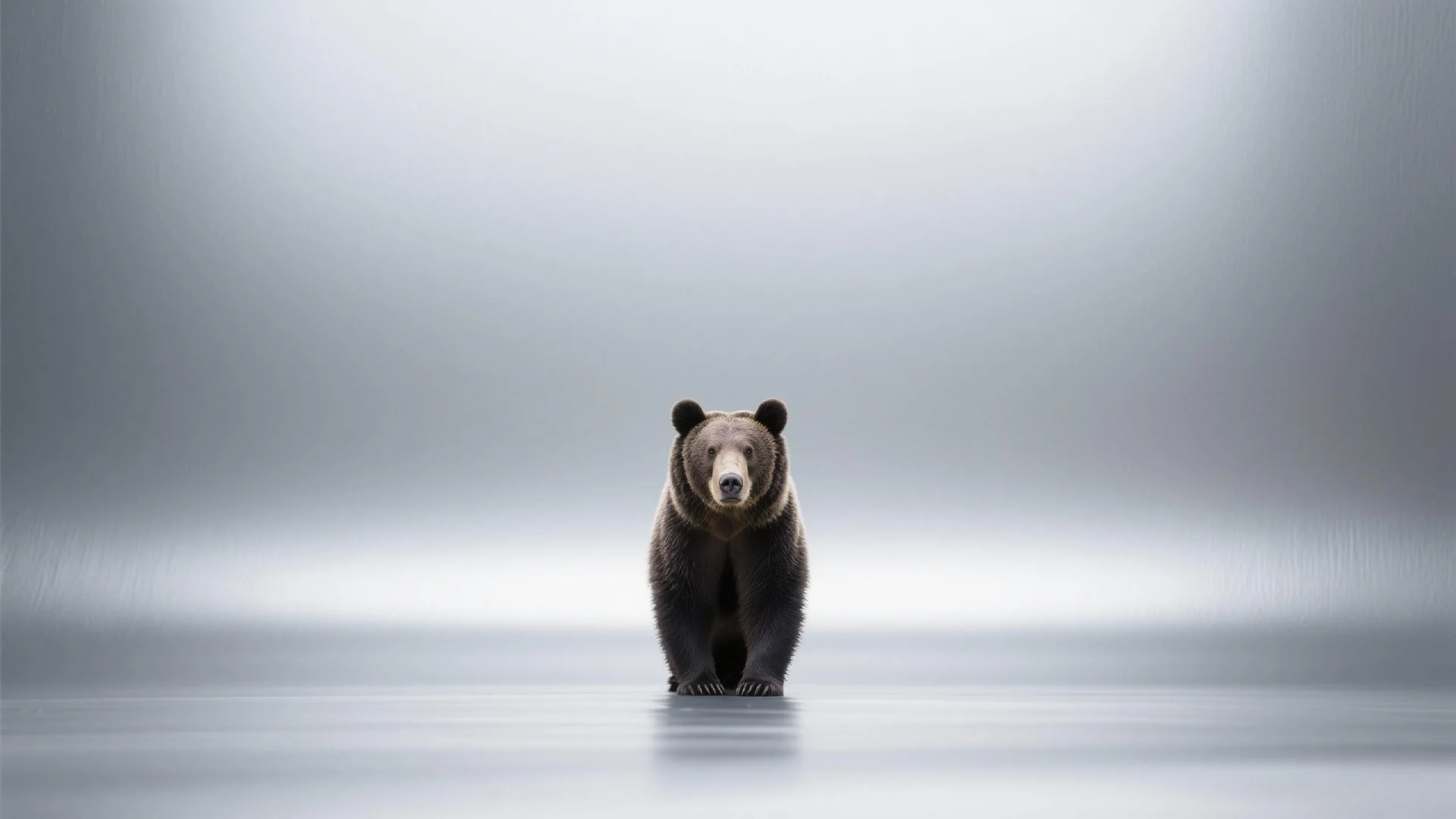 BOBO Token: Riding the Bearish Wave? Why BOBO Token Is Gaining Traction