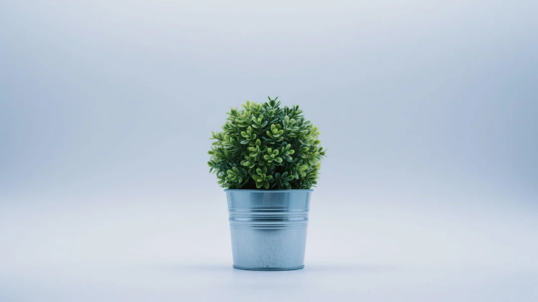 BROCCOLI Token Explained: The Greenest Meme Coin Promoting Fun Finance