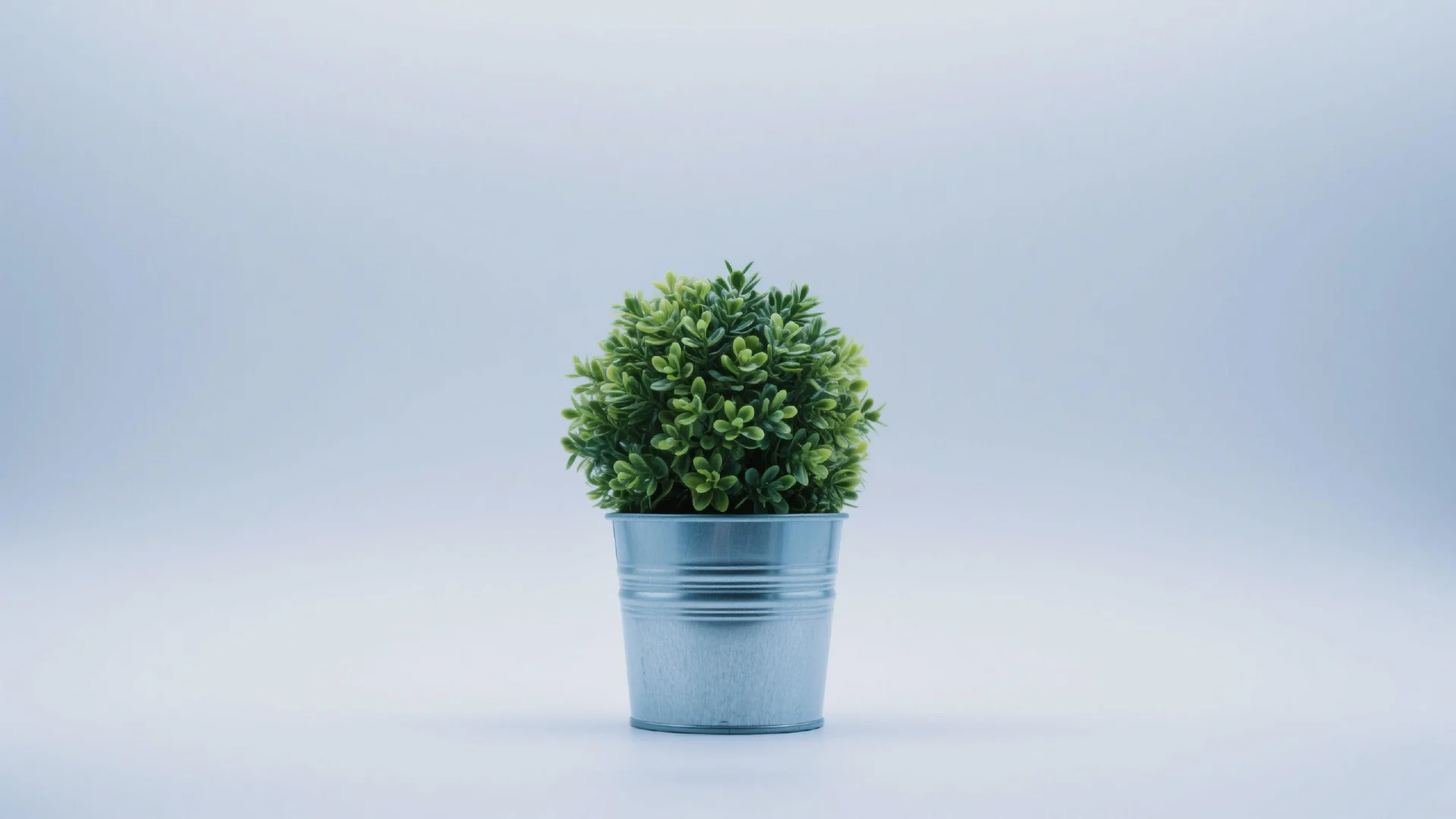 BROCCOLI Token Explained: The Greenest Meme Coin Promoting Fun Finance