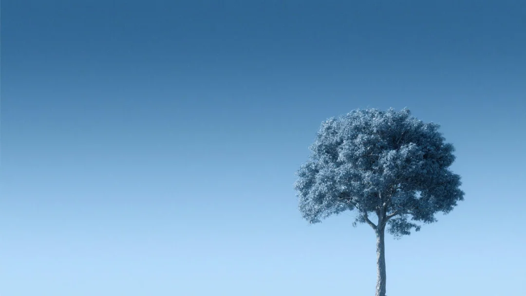 CELESTIA Public Blockchain: An Introduction to Modular Data Availability Networks