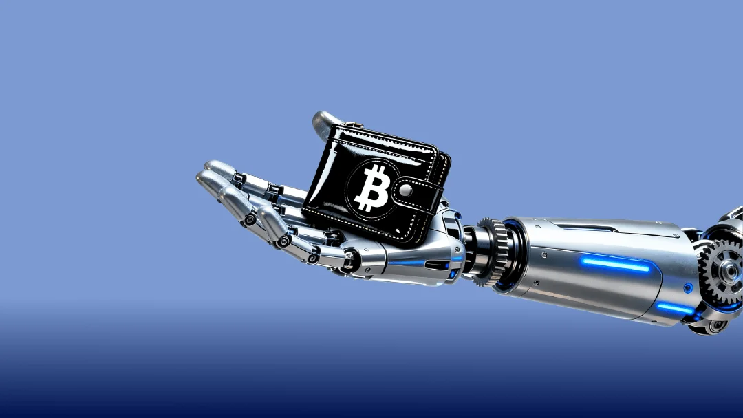 Bot Wallets Drained? Who Stole Your Binance Life?
