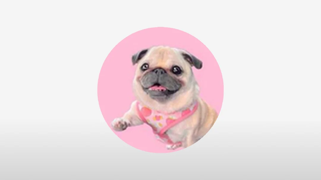 loulou Deep Research Report: Token Future Development and Outlook