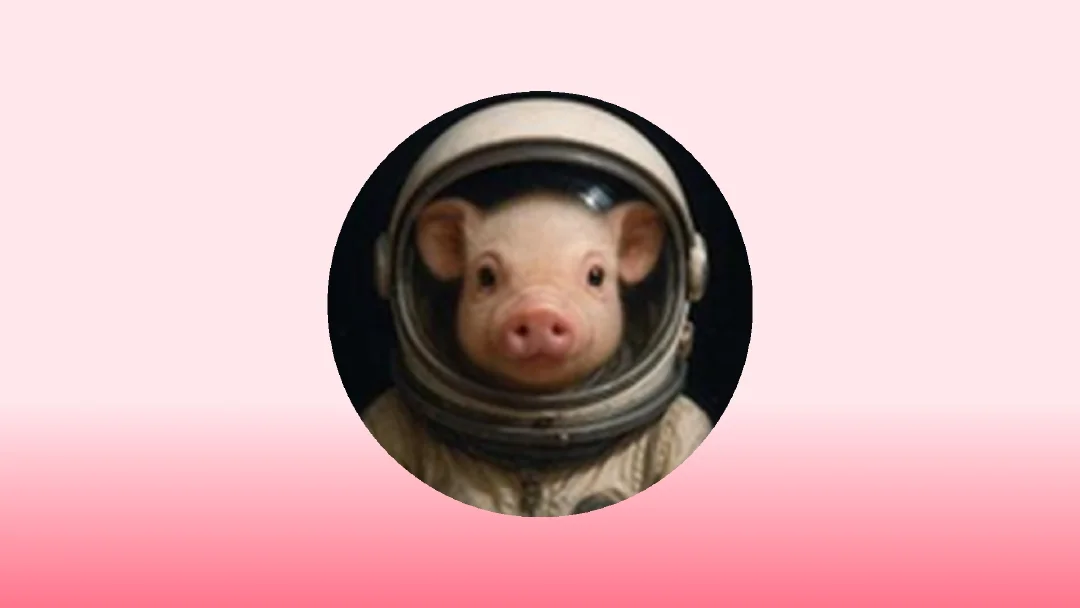 moonpig Deep Research Report: Token Overview, On‑Chain Analysis, and Future Outlook